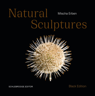 Erben_Mischa_Natural Sculptures Erben_Mischa_Natural Sculptures