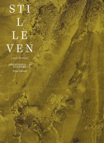 Payer-Gabriel_Stilleven